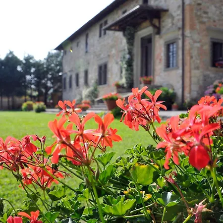 Affittacamere Medicea Lo Sprocco 4*