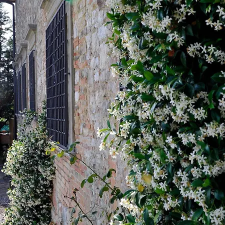 Affittacamere Medicea Lo Sprocco 4*